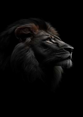 Lion portrait in dark tones