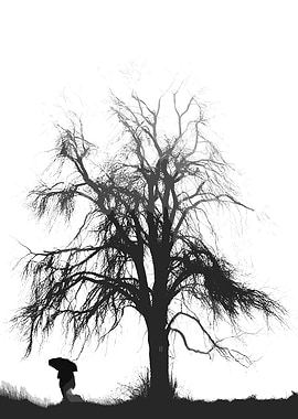 Silhouette of Tree and Person with Umbrella