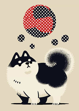 Cute Shiba Inu with Polka