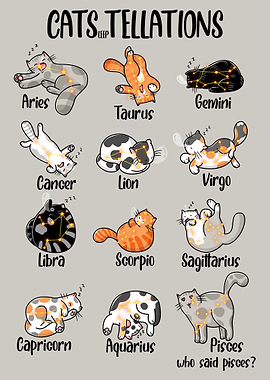 Catstellations