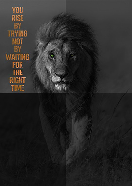 You Rise By Trying, Not By Waiting For The Right Time.