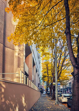Autumn City Street with Golden Trees