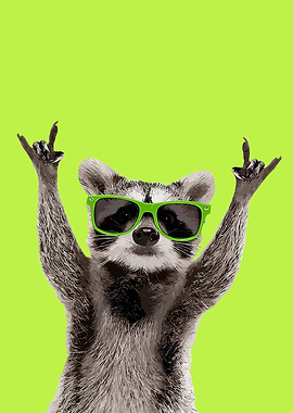Cool Raccoon with Sunglasses
