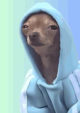 Dog in Hoodie