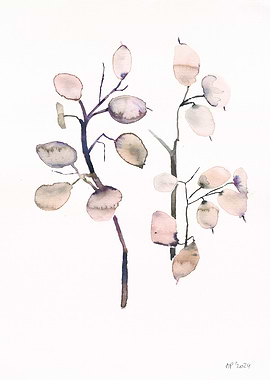 Watercolor Branches with Round Leaves
