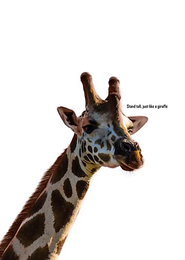 Giraffe Portrait with Motivational Text