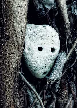 Stone Face in Tree Roots
