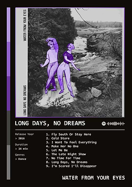 Long Days, No Dreams (2016) by Water From Your Eyes