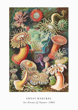Ernst Haeckel's Art Forms of Nature