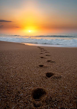 Footprints on beach at sunset