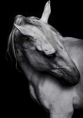 Monochrome Horse Portrait