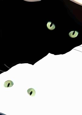 Black and White Cats with Green Eyes