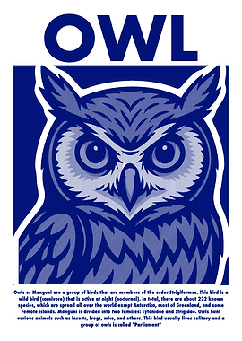 Blue Owl Illustration