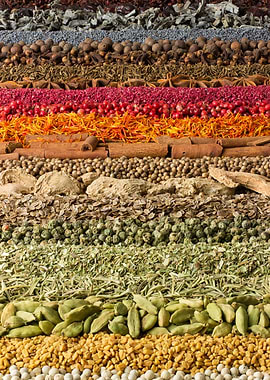 Spices and Herbs Arrangement
