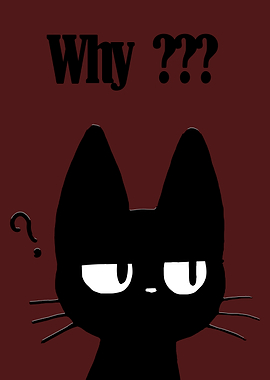 Why Black Cat Meme
