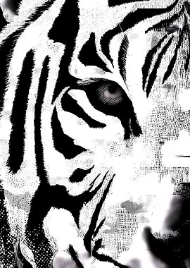 Monochrome Tiger Portrait