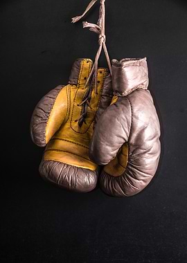 Vintage Boxing Gloves