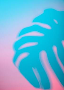 Monstera Leaf Shadow