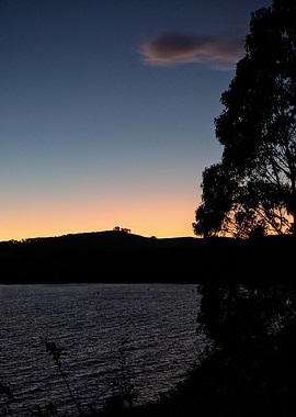 Sunset over water with silhouetted trees