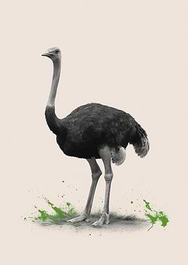 Monochrome Ostrich with Green Splatters