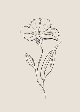 Lily Flower Line Art