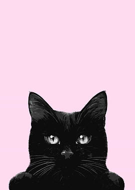 Black Cat Portrait on Pink Background