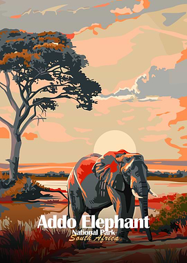 Addo Elephant National Park South Africa