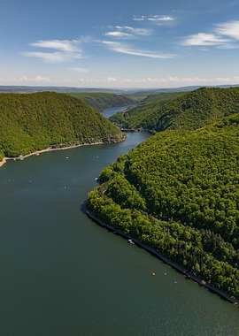 Aerial view of a lake surrounded by forest