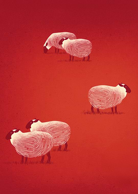 Sheep Fingerprint Red Field