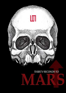 Thirty Seconds to Mars Album Art