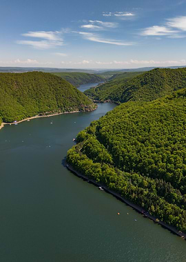 Aerial view of a lake surrounded by forest