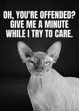 Offended? Give me a minute. Cat