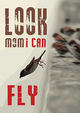 Look Mom I Can Fly