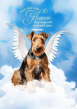 Airedale Terrier Dog Angel in Heaven