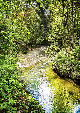 Sunlit Stream of the Sorge River Through Lush Green Forest