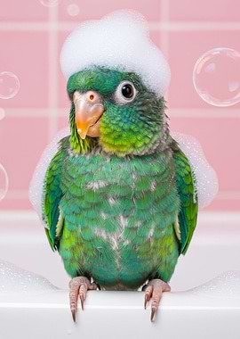 Green Parrot in Bath