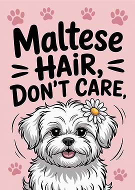 Maltese Hair, Don't Care