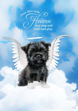 Affenpinscher Dog Angel in Heaven