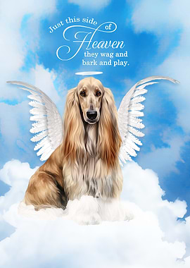 Afghan Hound Dog Angel in Heaven