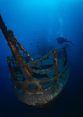 Underwater Shipwreck Afonso Cerqueira with Diver - Madeira
