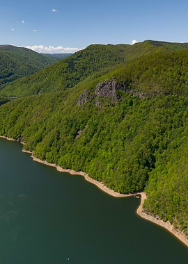 Lake and Forest Landscape