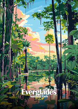Everglades National Park Illustration