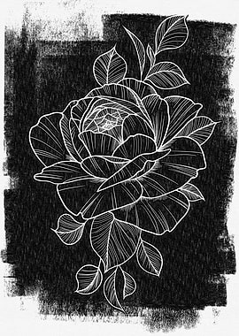 Rose Line Art on Black Background
