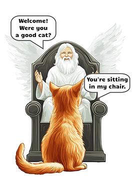 Cat vs God In Heaven Funny Kitten Joke