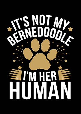Bernedoodle Dog Owner