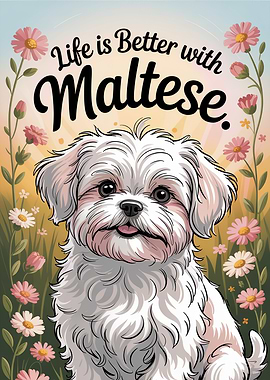 Life is Better with Maltese