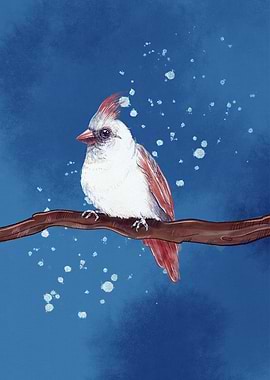 Cardinal on Branch with Snowflakes