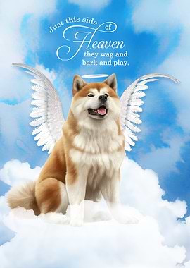 Akita Dog Angel in Heaven