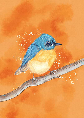 Blue and Yellow Bird on Branch