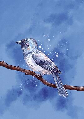 Blue Bird on Branch Illustration